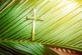 Palm Sunday concept