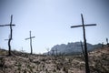 Cross shaped trees after forest fire Royalty Free Stock Photo