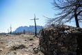 Cross shaped trees after forest fire Royalty Free Stock Photo