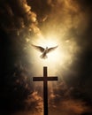 cross in the sky with white dove flying over the cross, concept image holy spirit