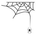Cross spider web icon, simple style