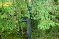 Cross in spruce branch at old beautiful semetery in Finland