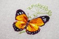 Cross-stitch butterfly with pink wings