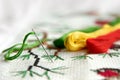 Cross-stitch embroidery and needle with red thread. Embroidery macro close up. Royalty Free Stock Photo