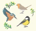 Cross Stitch Vector Element Bird Robin Tit Kingfisher Embroidery Royalty Free Stock Photo