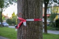 Cross And Tape On A Tree That Has To Be Felled At Duivendrecht At The Netherlands 8 May The Netherlands 2020 Royalty Free Stock Photo