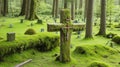 The cross was placed in a grave in a quiet, green forest.generative ai Royalty Free Stock Photo