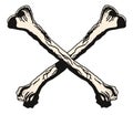 Crossbones illustration Royalty Free Stock Photo