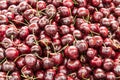 A pile of Lapins cherries. Royalty Free Stock Photo