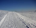 Crosscountry skiing route marked with wooden sticks