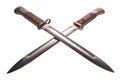 Crossed bayonets Royalty Free Stock Photo