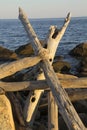 Crossed driftwood stacked on rocks, Hammonasset State Park, Madi Royalty Free Stock Photo