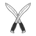 Crossed machete sketch vector illustration