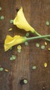 Crossed yellow lilies on a scratched wooden table showing rustic texture Royalty Free Stock Photo