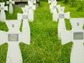 Crosses on graves of those killed in World War II
