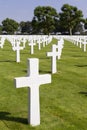 Crosses on graves at Margraten War Cemetery