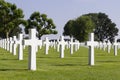 Crosses on graves at Margraten War Cemetery