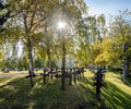 Crosses at cemetery