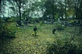 Crosses and tomb stones in autumn scene. Old graves on cemetery in Slovakia in fall. Spooky aged tombstones on grave yard Royalty Free Stock Photo