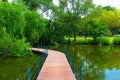 Crossing the Bridge on a Pond at Lumpini Park, Thailand. Royalty Free Stock Photo