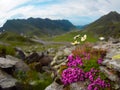 Transfagarasan is one of the most spectacular mountain roads in the world, Romania Royalty Free Stock Photo