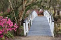 Crossing at Charleston SC Magnolia Garden in Spring Royalty Free Stock Photo