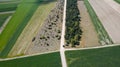 Crossroad of dirt roads view from the drone.