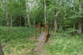 Crossing through electric fence in nature reserv