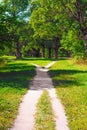 Crossing of footpaths in the park