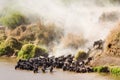 Crossing the Mara River