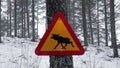 Crossing moose road sign on tree in winter in Sweden Royalty Free Stock Photo