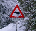 Crossing moose warning sign on the side of a road