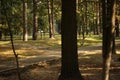 Crossing paths in a city autumn park