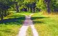 Crossing the pedestrian paths in the park on a sunny day