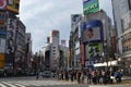 Crossing Shibuya Tokyo Japan