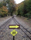 Crossing tracks of the End of the World Train Royalty Free Stock Photo