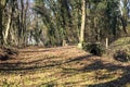 Crossing between trail in a park over an old brick footbridge next to a tiny dry channel in a forest on a winter day Royalty Free Stock Photo