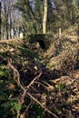 Crossing between trail in a park over an old brick footbridge next to a tiny dry channel in a forest on a winter day Royalty Free Stock Photo