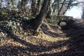 Crossing between trail in a park over an old brick footbridge next to a tiny dry channel in a forest on a winter day Royalty Free Stock Photo