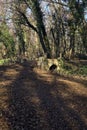 Crossing between trail in a park over an old brick footbridge next to a tiny dry channel in a forest on a winter day Royalty Free Stock Photo