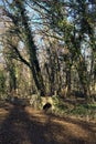 Crossing between trail in a park over an old brick footbridge next to a tiny dry channel in a forest on a winter day Royalty Free Stock Photo