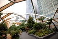 The Crossrail Place Roof Garden in Canary Wharf , London , Uk Royalty Free Stock Photo