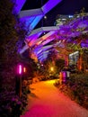 London, UK - January 2020: A night view of the illuminated Crossrail Place Roof Garden in Canary Wharf, London Royalty Free Stock Photo