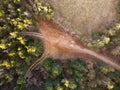 Crossroad drone rural path dirt high country through route way air car forest trail road above aerial view top flying field lawn Royalty Free Stock Photo