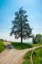 Crossroad with a lonely tree on a hill, rural landscape Royalty Free Stock Photo