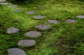 Stone way in moss in Japanese garden Royalty Free Stock Photo