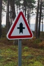 Crossroad warning sign on a road in a pine forest