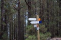 Crossroad wooden directional arrow signs