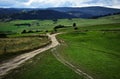 The crossroads of field roads in nature Royalty Free Stock Photo