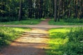 Crossroads of footpaths in the park. Two paths in the rays of the sun and with shadows intersect in the park. Summer landscape